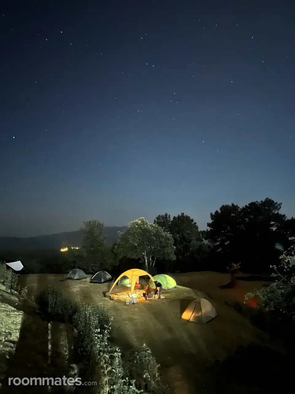 Profile photo 14 of 16