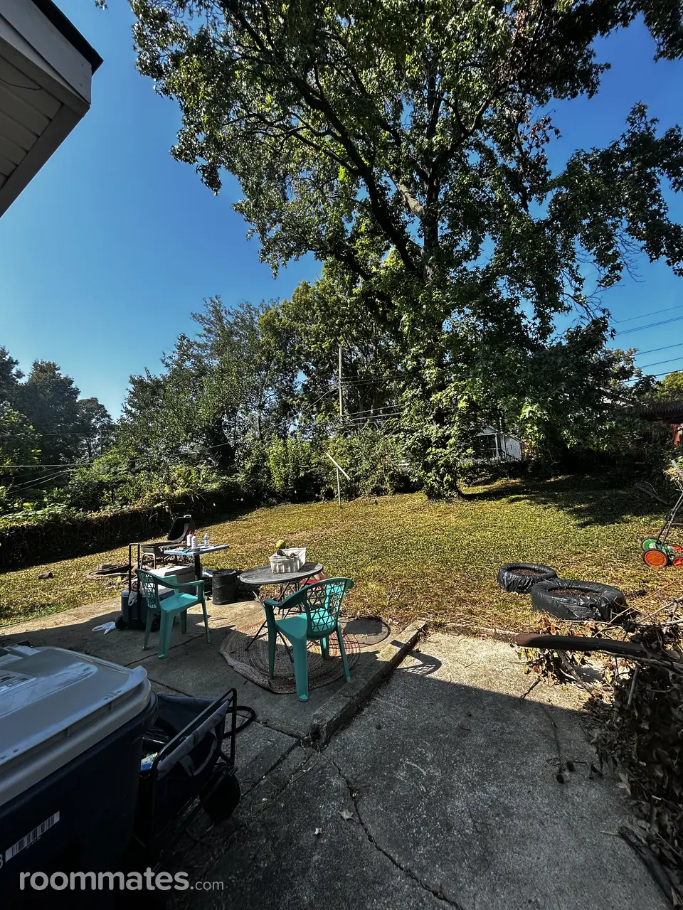 Profile photo 4 of 5