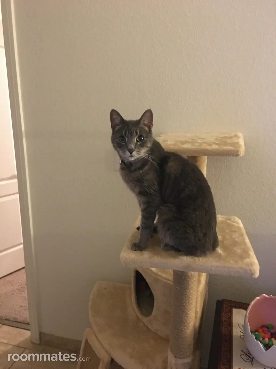 Profile photo 7 of 8