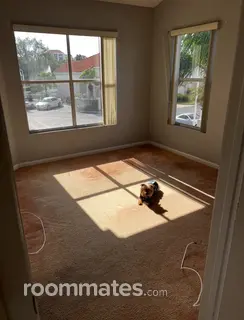 Room for rent in St. Pete Beach, FL $1100, condo