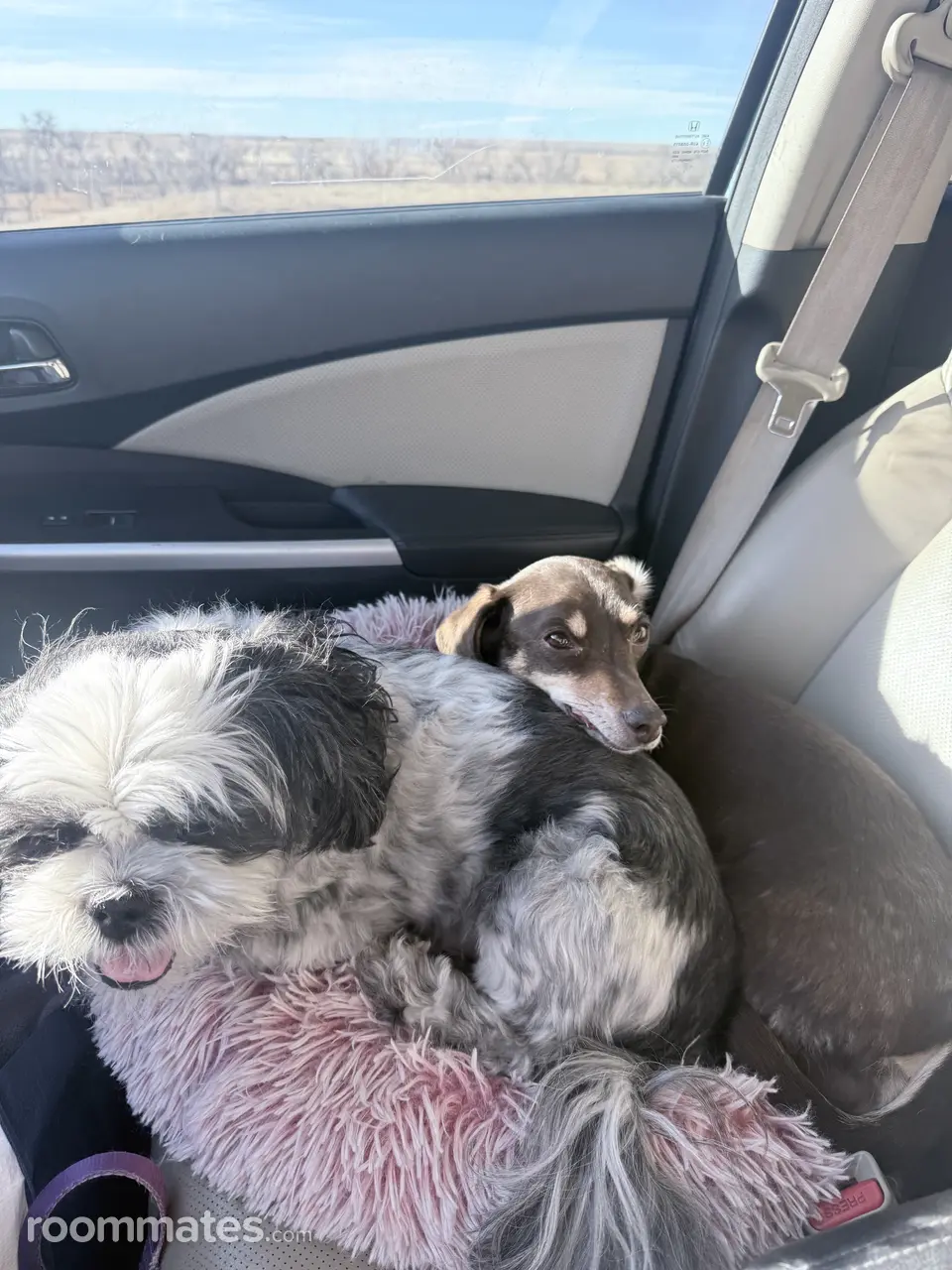 Profile photo 6 of 8