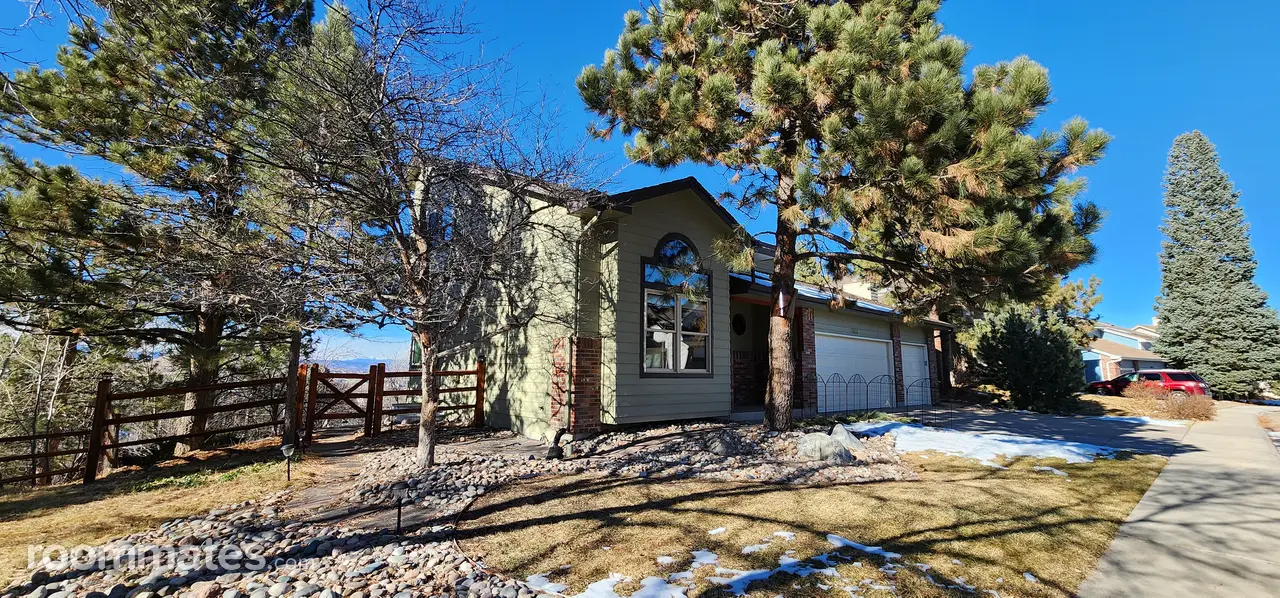 Profile photo 10 of 11