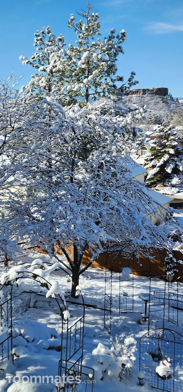 Profile photo 9 of 11