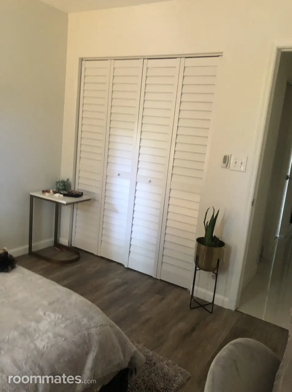 Profile photo 6 of 11