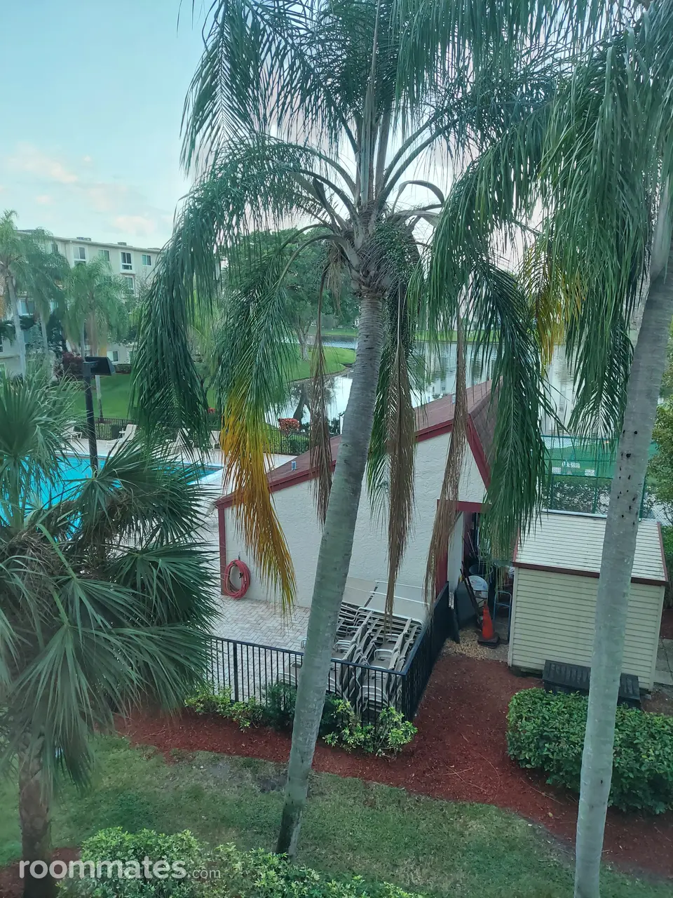 Profile photo 8 of 9