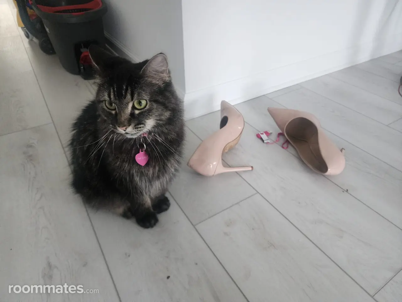 Profile photo 11 of 13