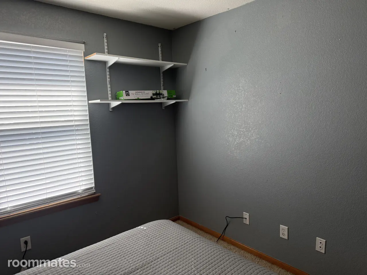 Profile photo 3 of 15