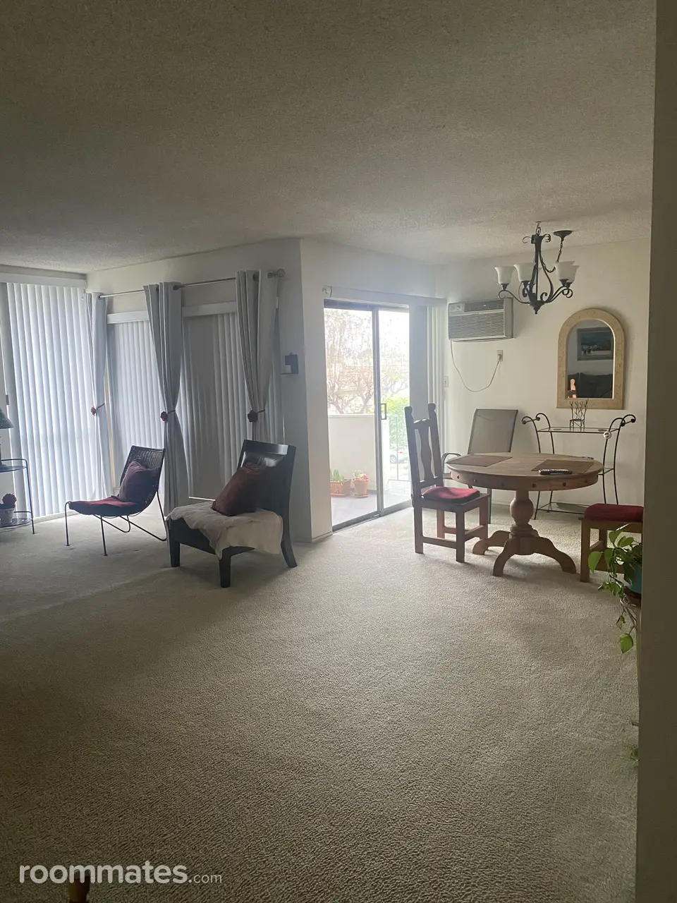 Profile photo 5 of 13