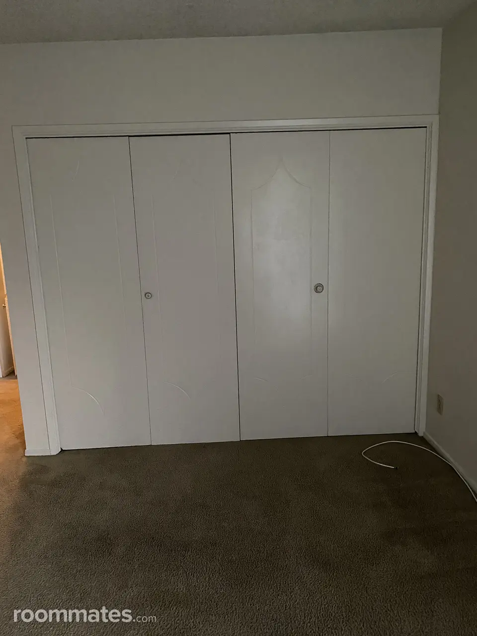 Profile photo 4 of 13