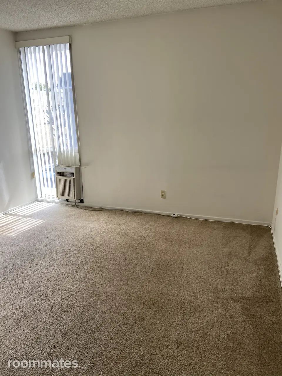 Profile photo 8 of 13