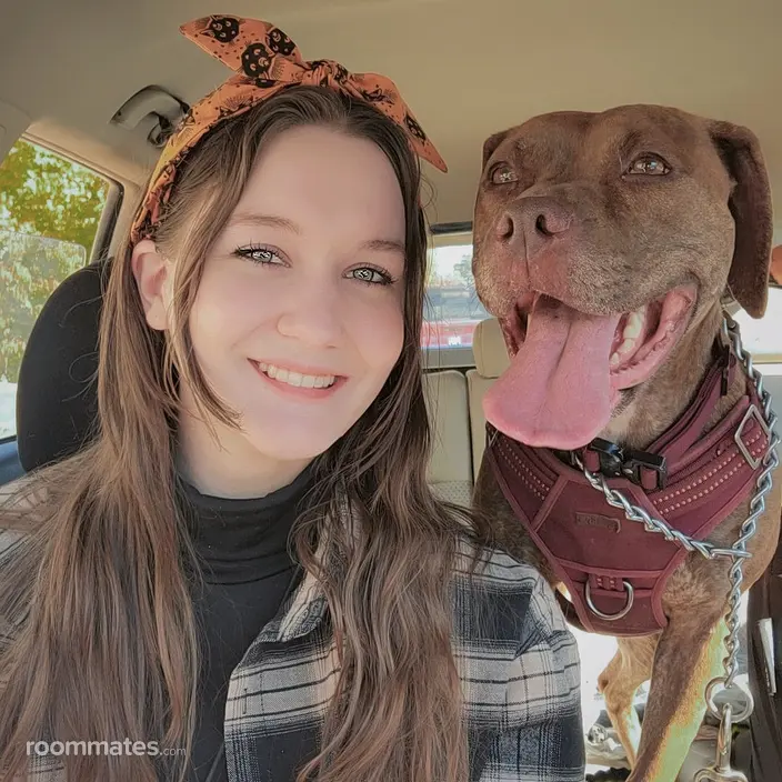 Roommate looking Feasterville Trevose, PA, $900
