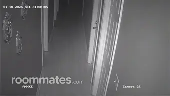 Room for rent in Leasburg, US $900, house