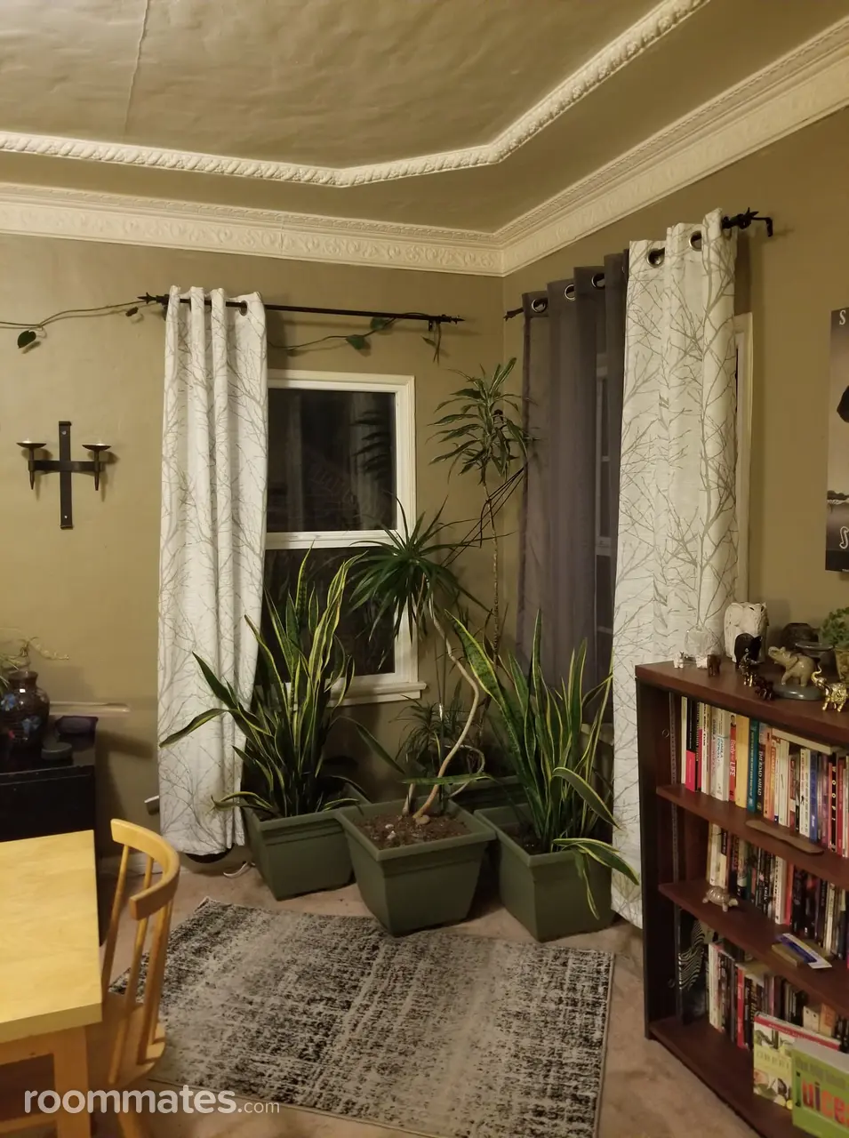 Profile photo 9 of 11