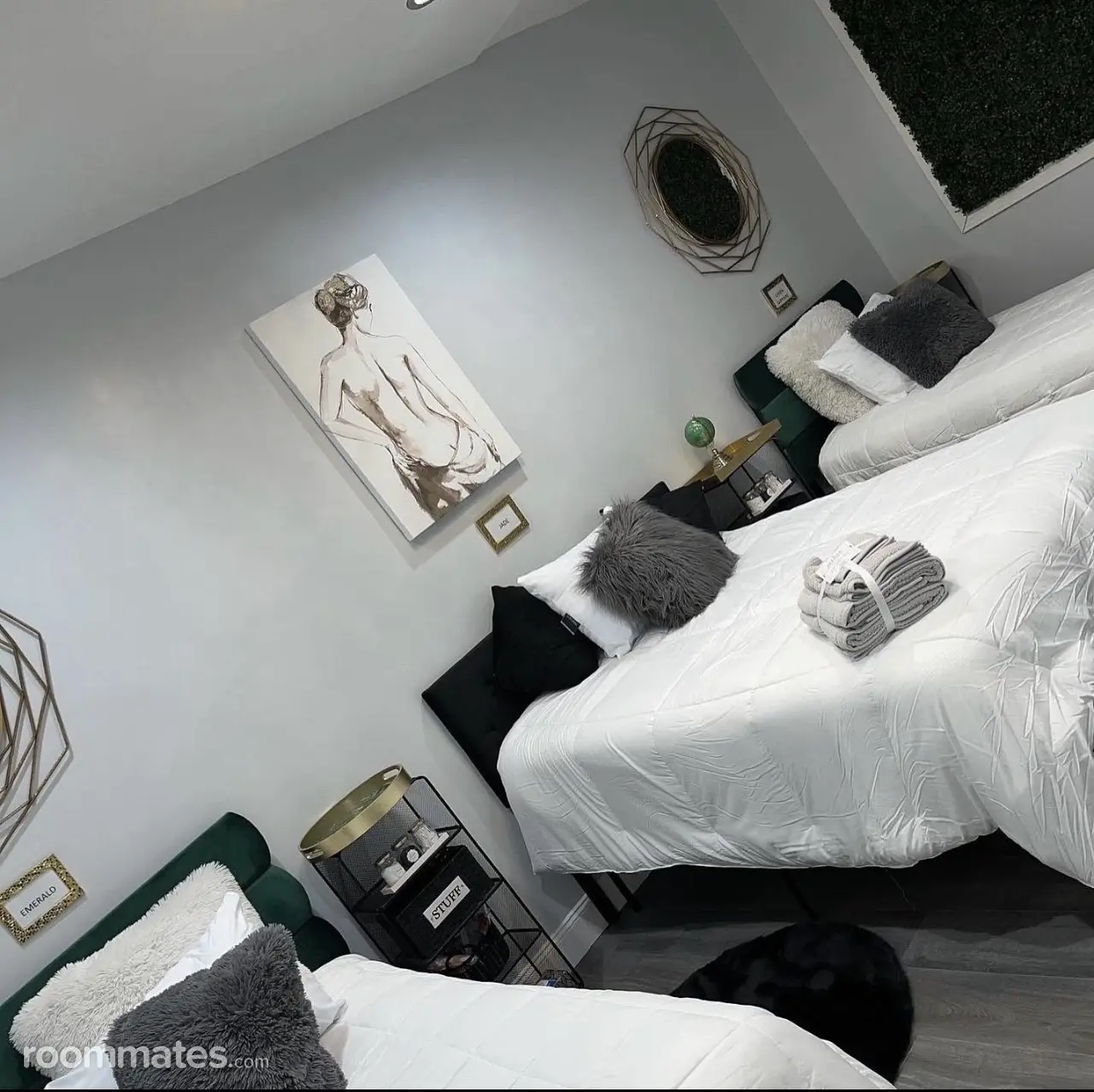 Profile photo 12 of 12