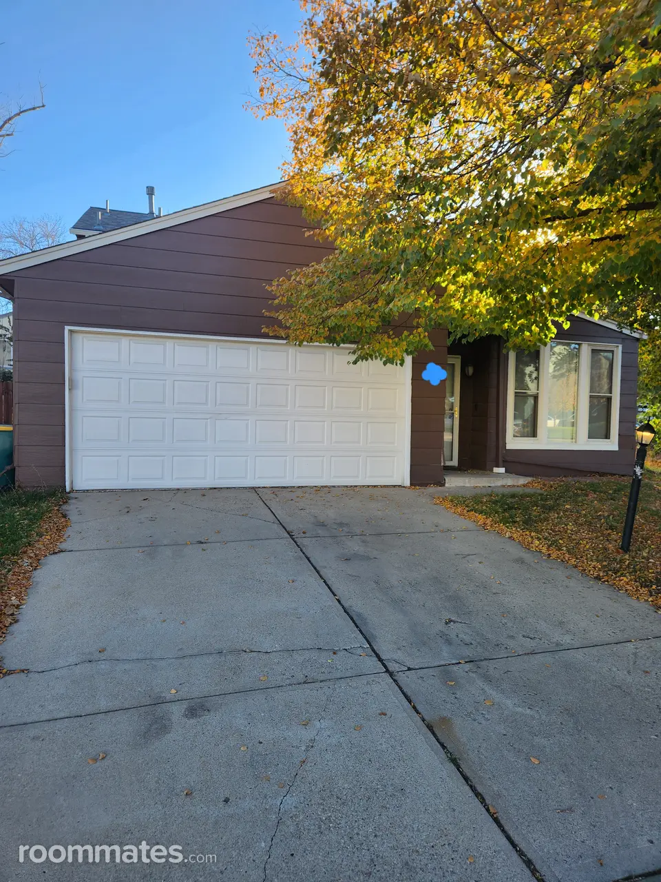 Profile photo 4 of 5