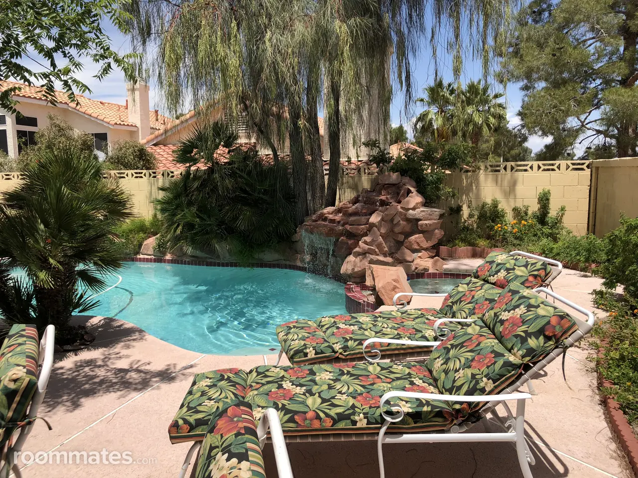 Profile photo 1 of 19