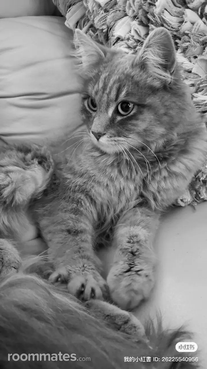 Profile photo 14 of 19