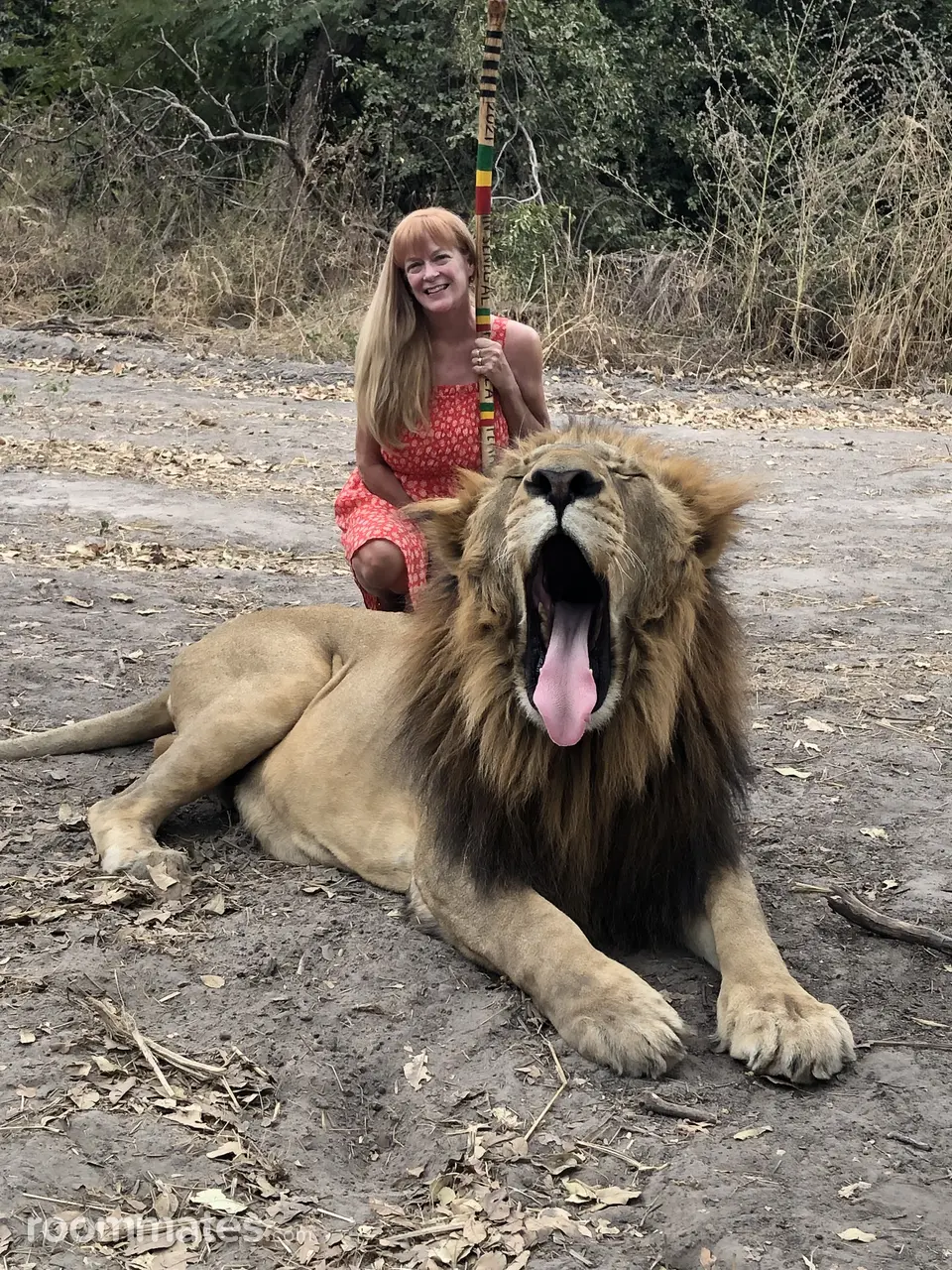 Profile photo 19 of 19