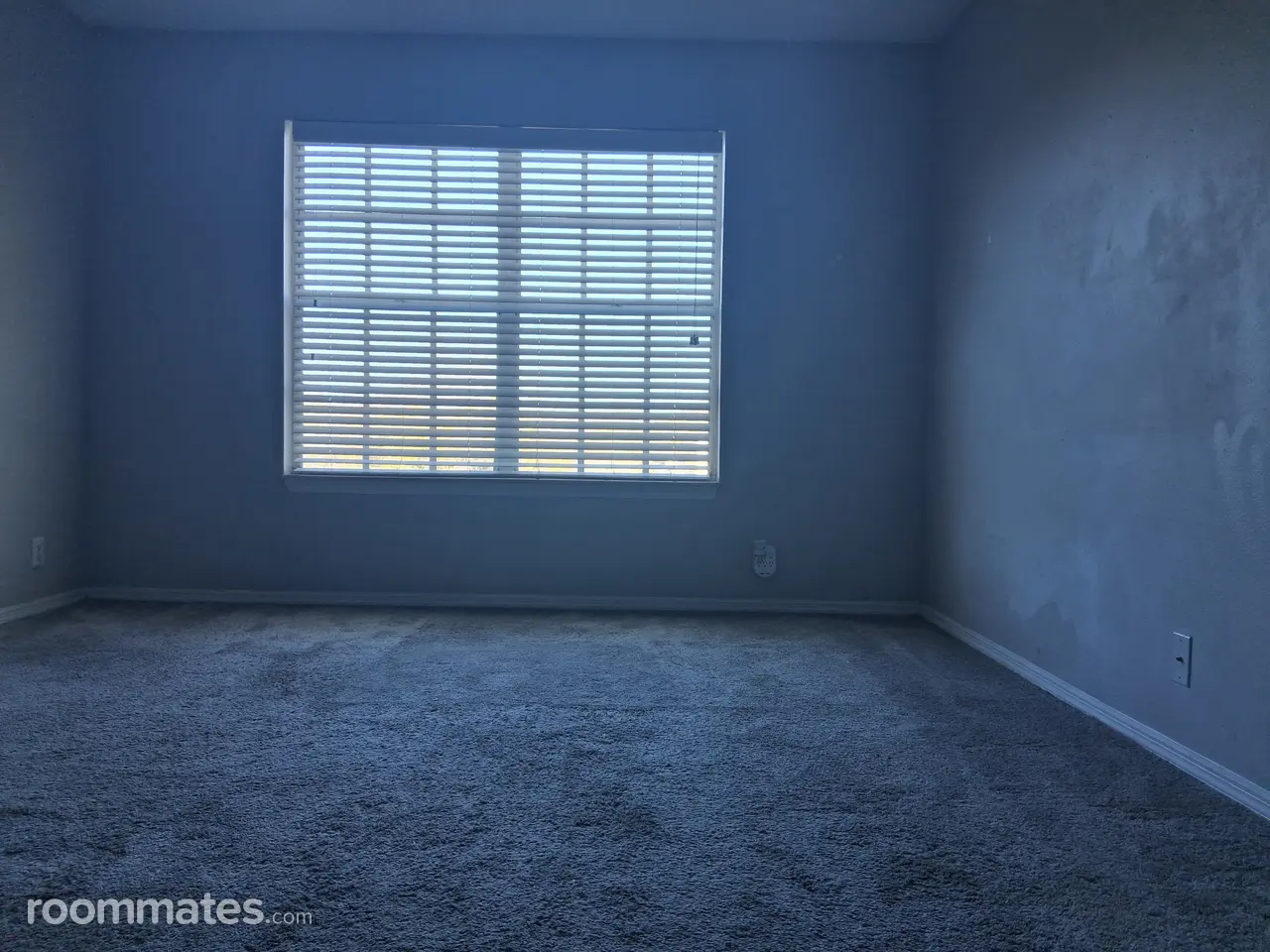 Profile photo 1 of 8