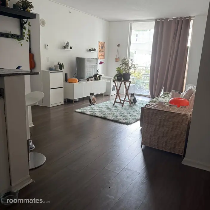 Room for rent in Miami FL $1250, apartment