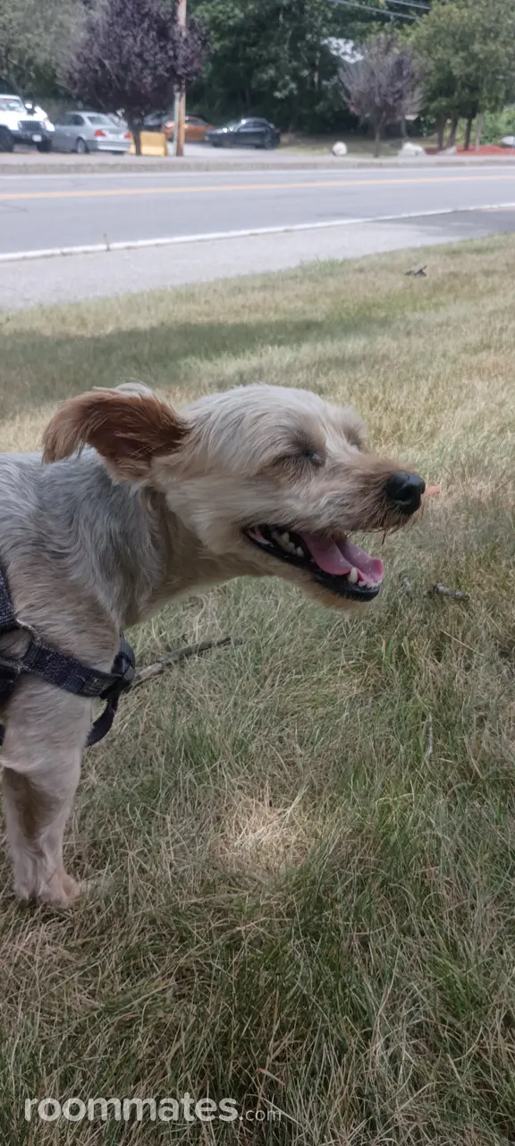 Profile photo 2 of 10