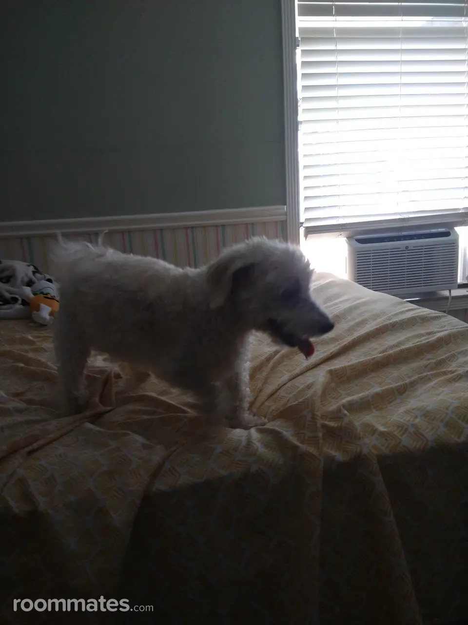 Profile photo 3 of 10