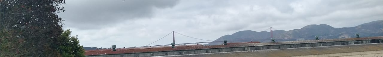 Profile photo 9 of 10