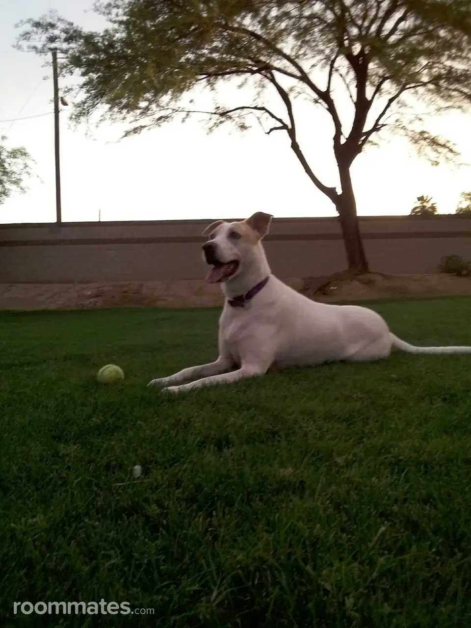 Profile photo 2 of 2