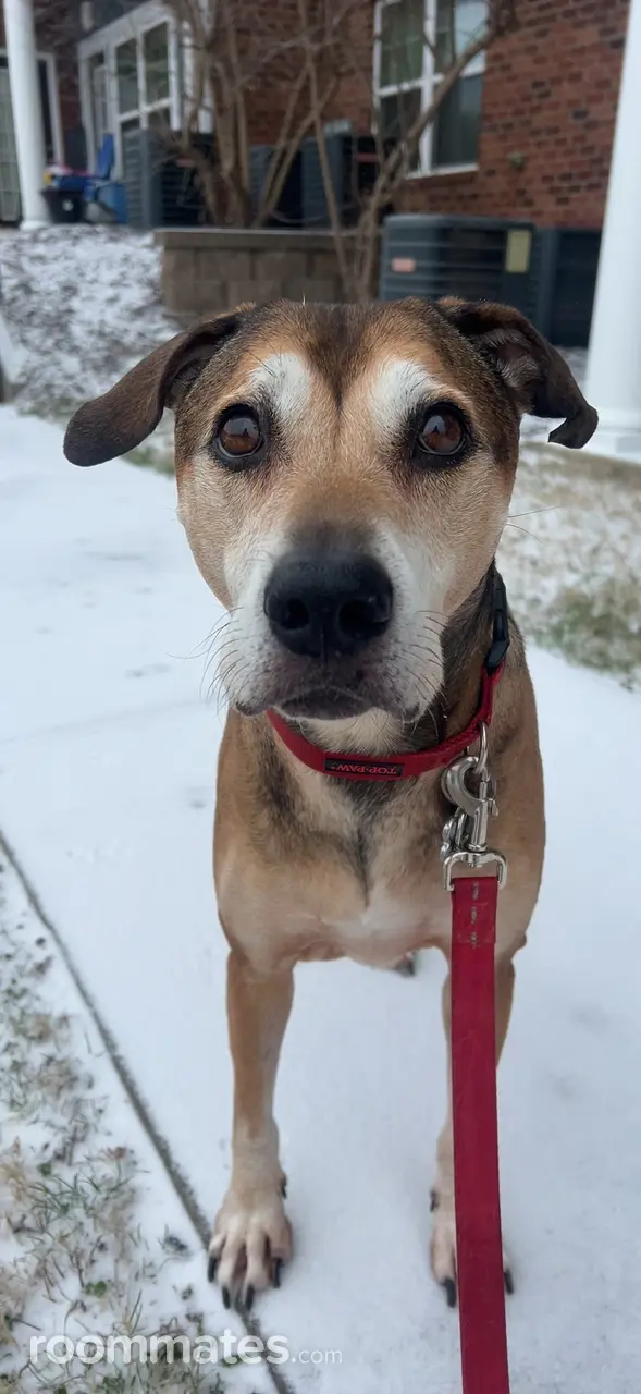 Profile photo 2 of 3