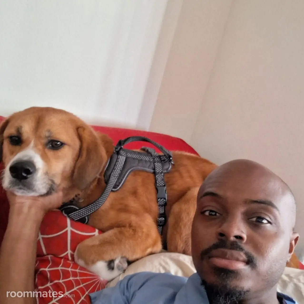 Profile photo 8 of 9