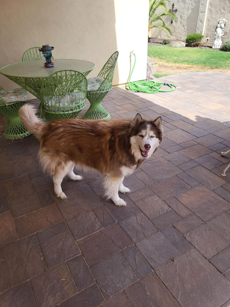 Profile photo 9 of 10