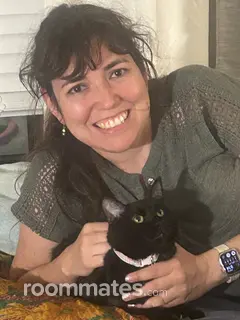 Roommate looking Austin, TX, $1000