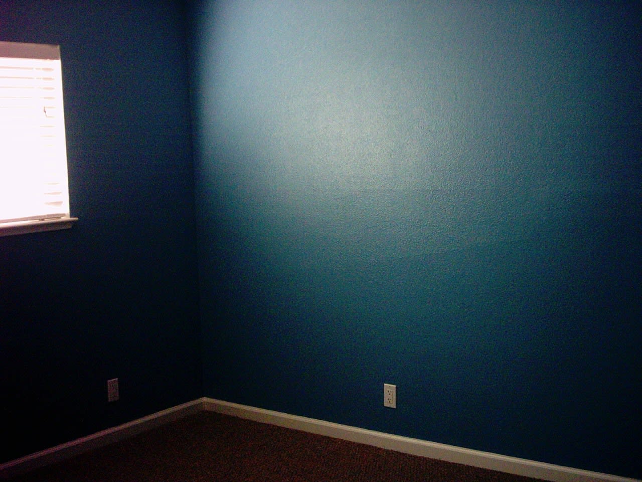 Profile photo 6 of 8