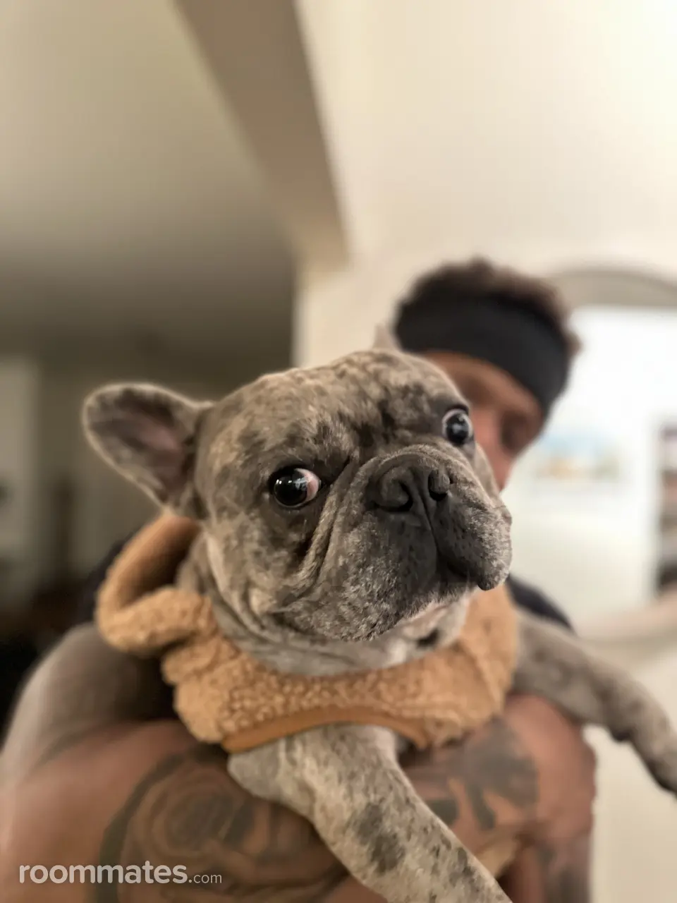 Profile photo 11 of 11