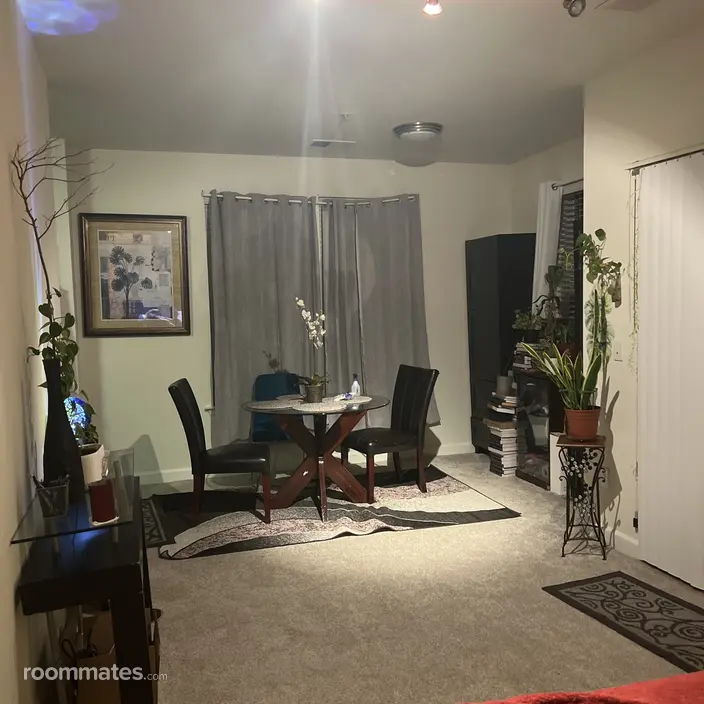 Room for rent in Alexandria, VA $1300, apartment