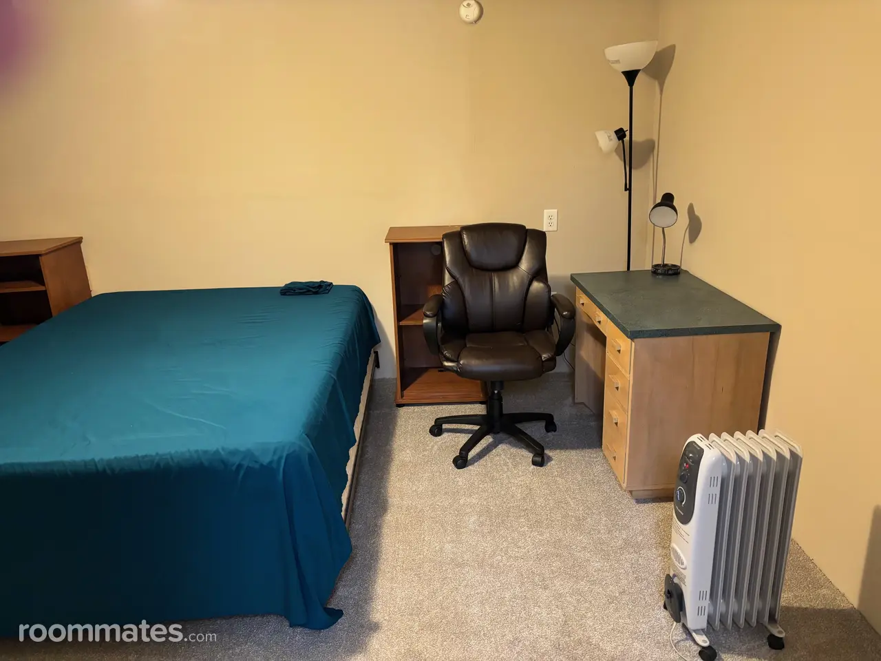 Profile photo 8 of 14