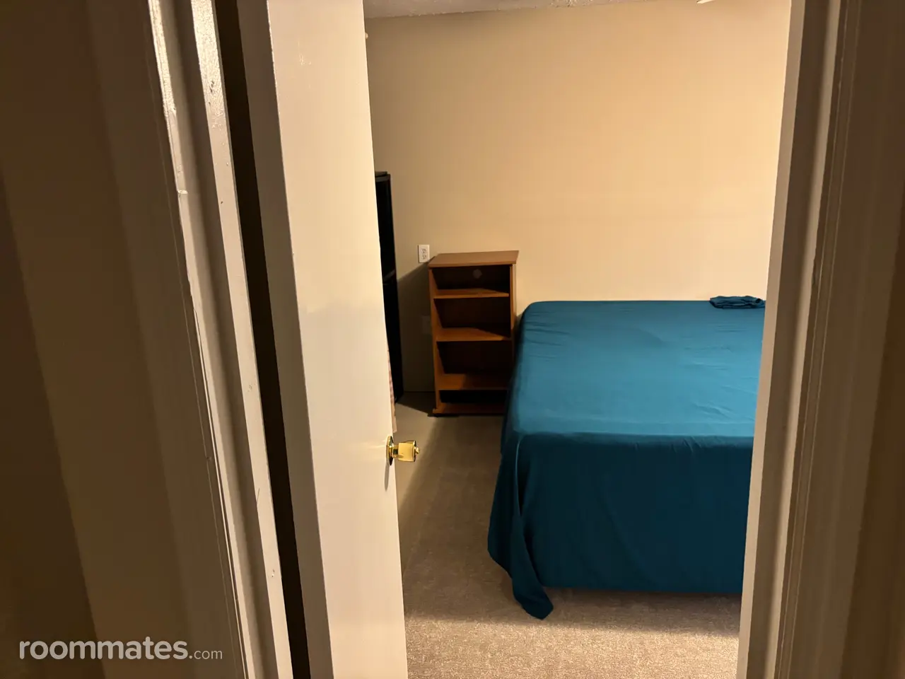 Profile photo 5 of 14