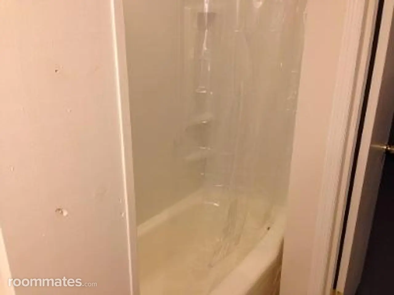 Profile photo 7 of 7