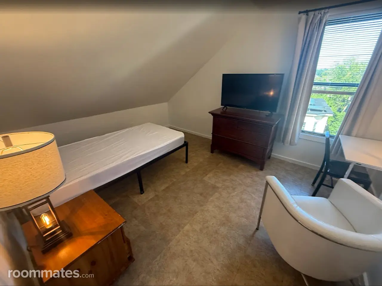 Profile photo 7 of 8