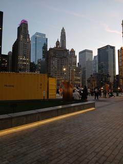 Roommate looking Chicago, IL, $600
