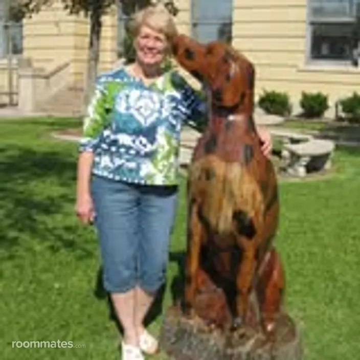 Roommate looking Tomball, TX, $800