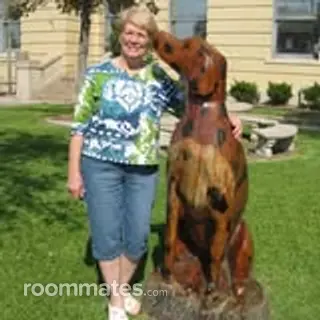 Roommate looking Tomball, TX, $800