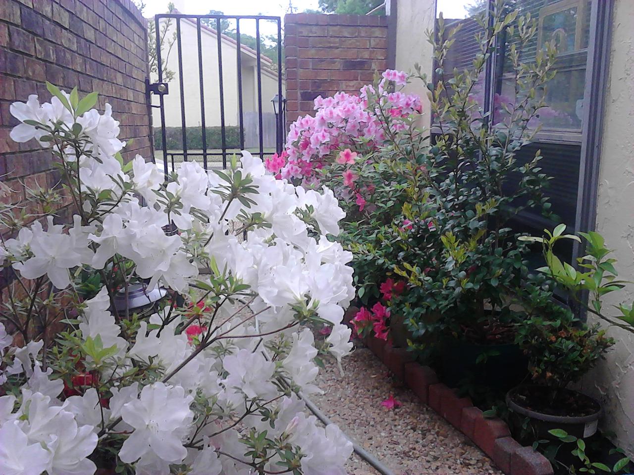 Profile photo 5 of 6