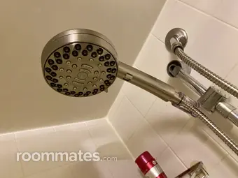 Room for rent in Wood Dale, IL $765, house