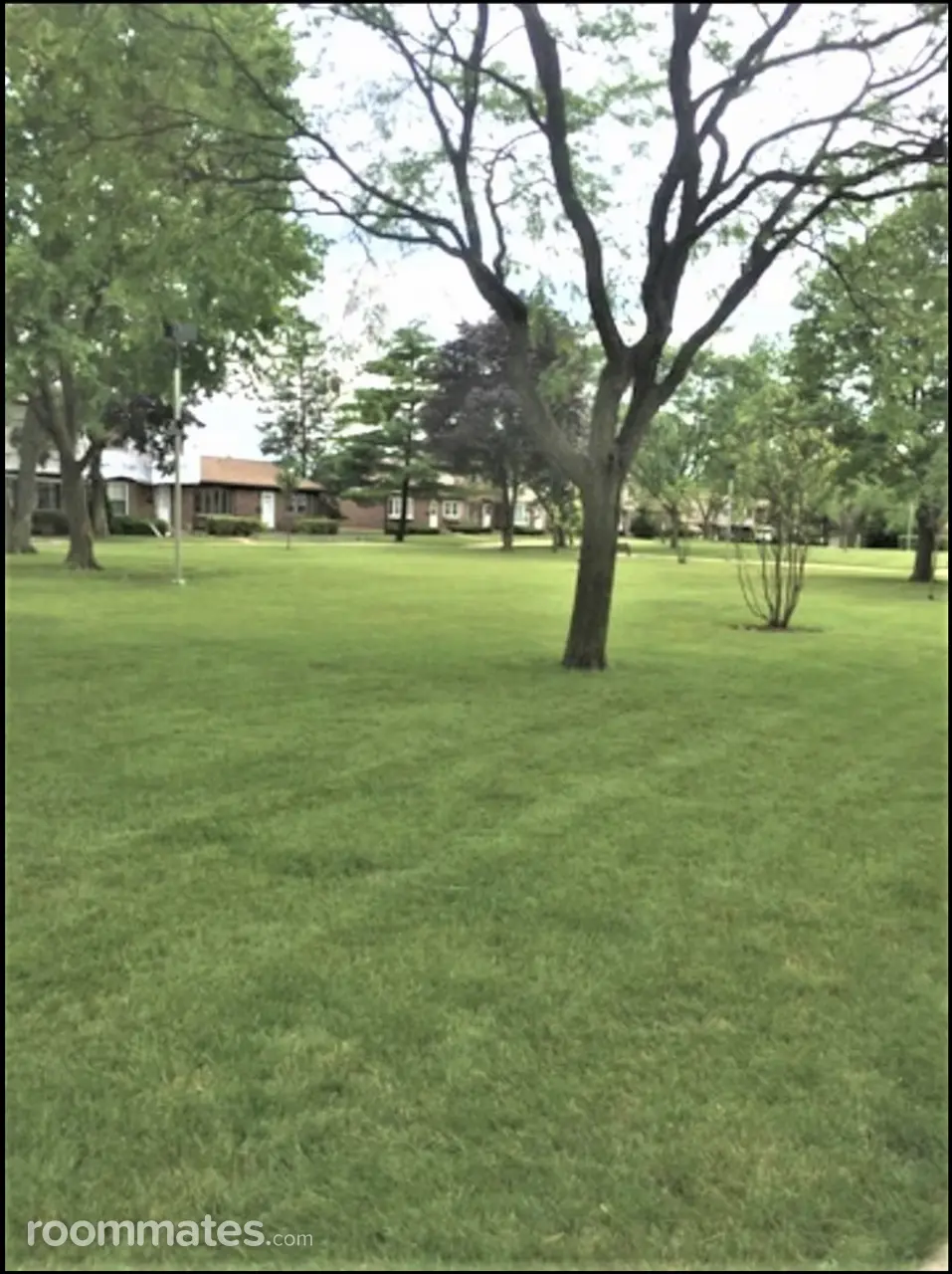 Profile photo 8 of 11