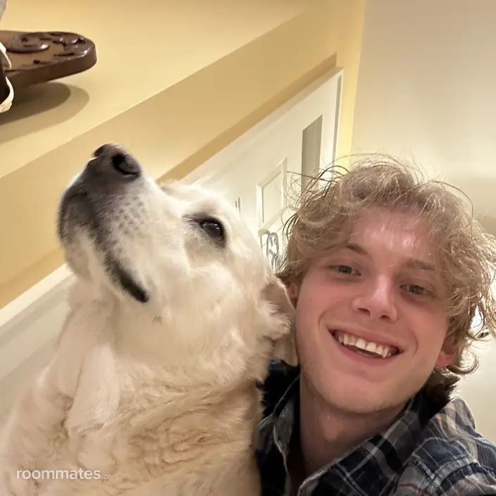 Roommate looking Carrollton, TX, $1000
