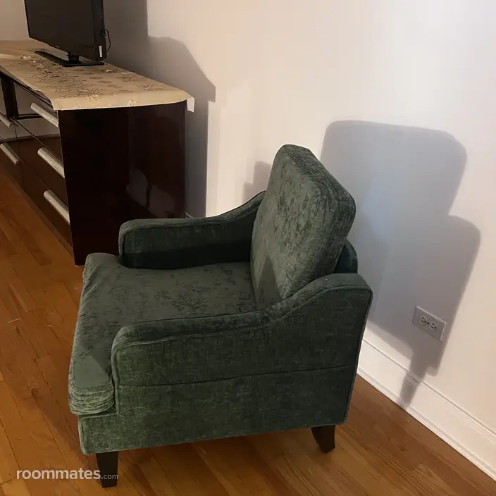 Room for rent in Chicago IL $1100, condo