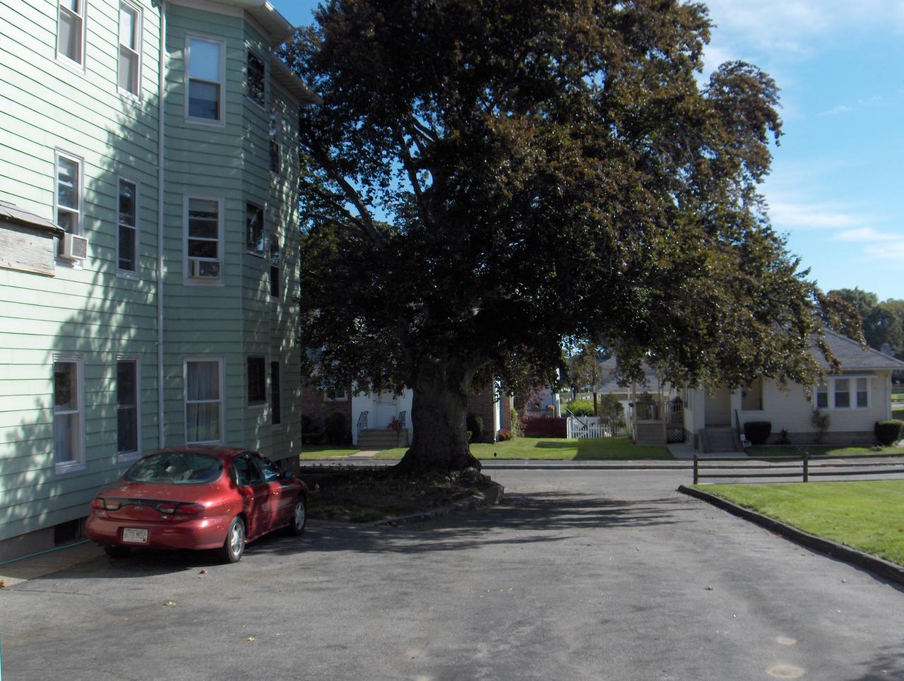 Profile photo 8 of 8