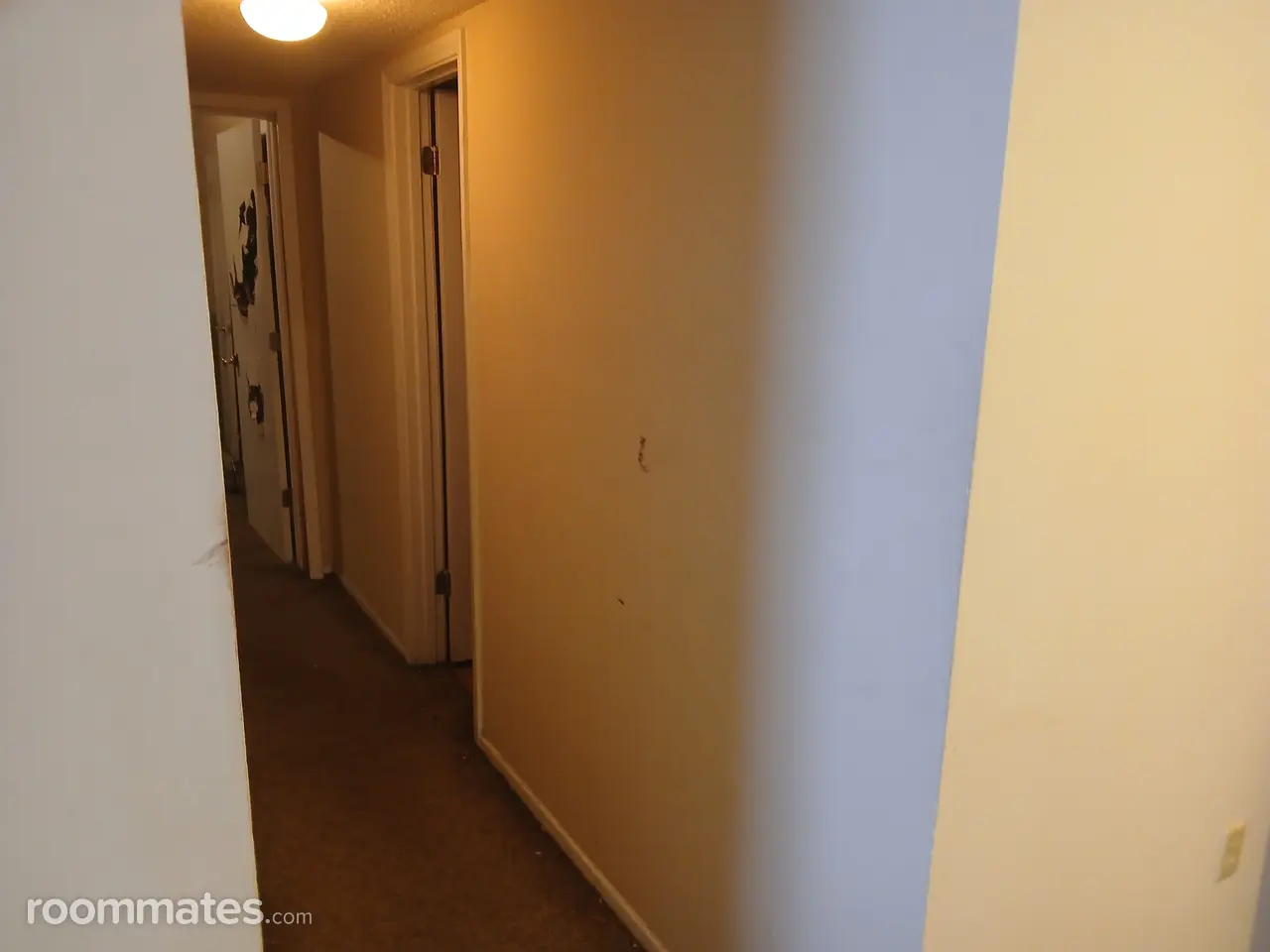 Profile photo 2 of 5