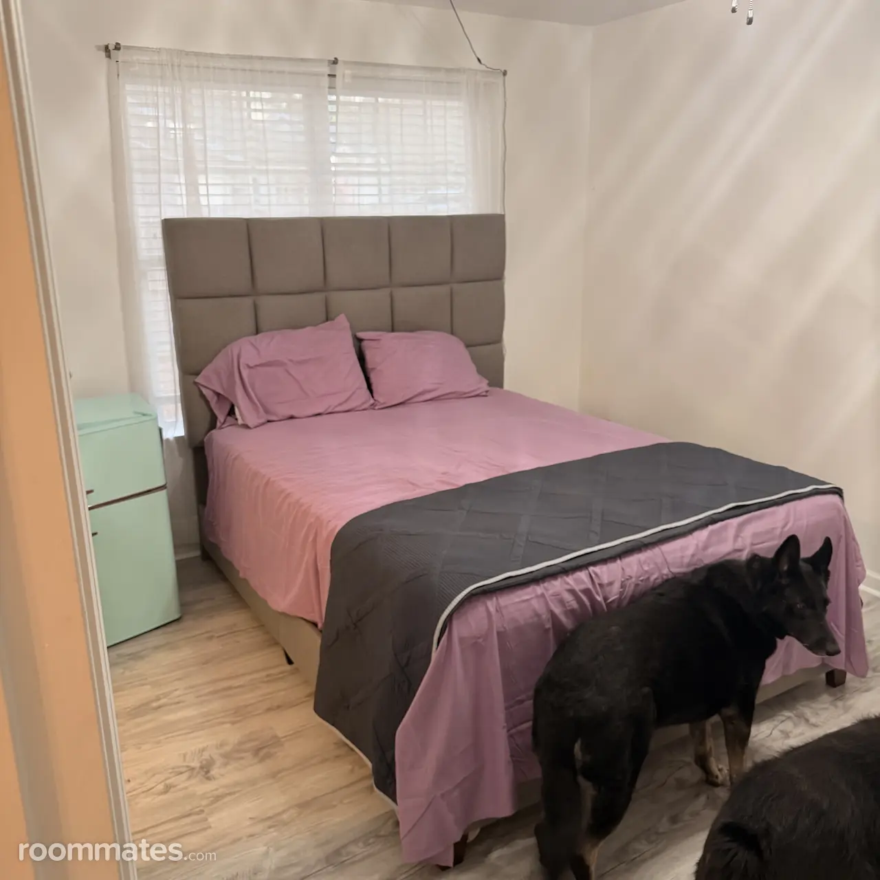 Profile photo 3 of 7